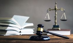 Как взять землю у государства ветерану