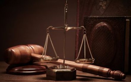 Единый реестр проверок прокуратурой юридических лиц и ИП