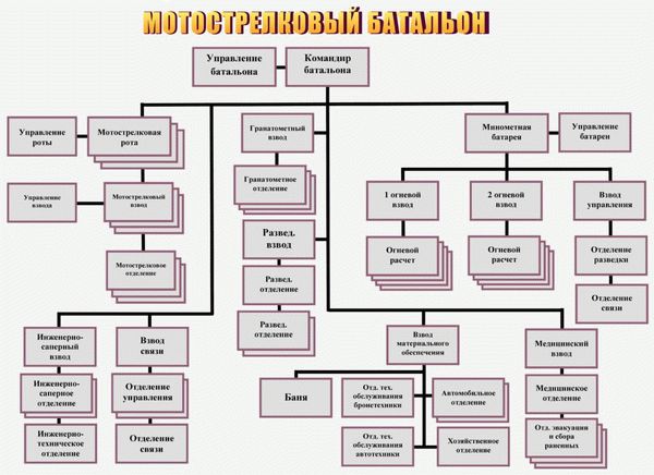 Количество в роте полку дивизии