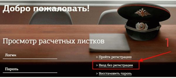 Вход без регистрации в системе