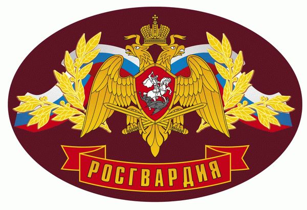 Росгвардия и полиция отличия чем отличается. Смотреть фото Росгвардия и полиция отличия чем отличается. Смотреть картинку Росгвардия и полиция отличия чем отличается. Картинка про Росгвардия и полиция отличия чем отличается. Фото Росгвардия и полиция отличия чем отличается