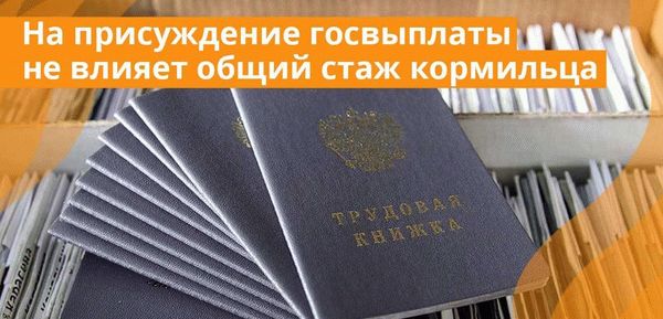 На присуждение госвыплаты не влияет общий стаж кормильца и обстоятельства, приведшие к его смерти