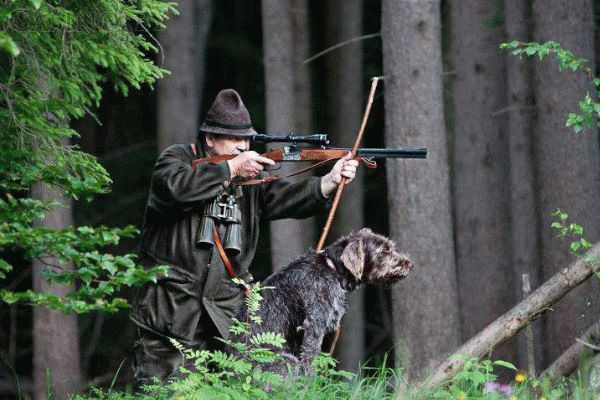 Список документов для продления разрешения на охотничье оружие в 2025 году