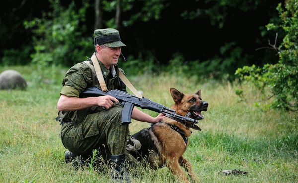 Пограничник со служебной собакой