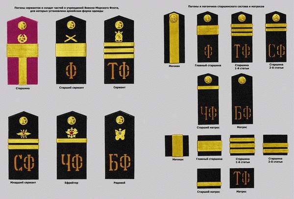 Рядовые и офицеры флота России