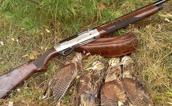 Трофеи с охоты