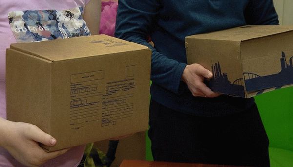 Большие коробки