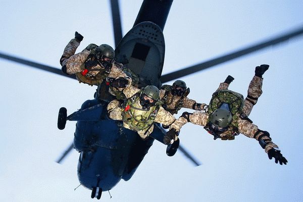 Что такое категории годности и для чего они нужны?