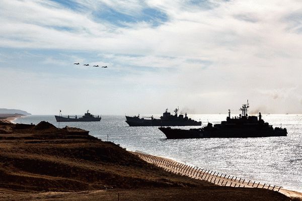 Что такое категории годности и для чего они нужны?